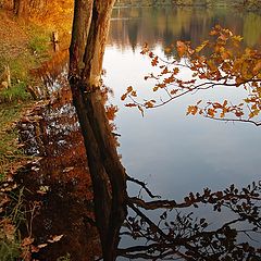 photo "Autumn experiment"