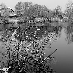 photo "November, first snow"