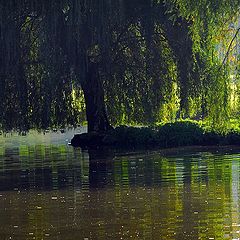 фото "old pond"