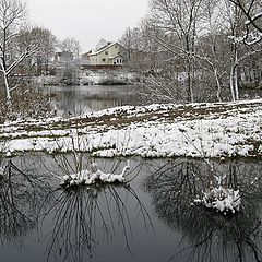 photo "First snow in colours"