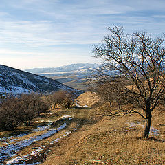 фото "Первый снег"