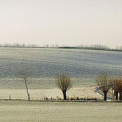 фото "first winterday"
