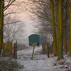 photo "Nature reserve De Maten Genk"