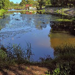 photo "River Nara in July"