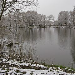 photo "First snow once again"