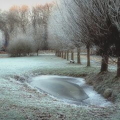 фото "Frozen day"