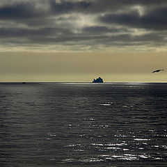 photo "Antarctica"