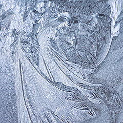 фото "Морозный узор на окне. Перья сказочных птиц."