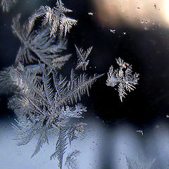 photo "Last winter fantasy ..."