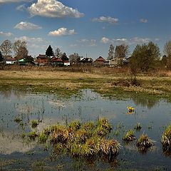 фото "У пруда..."