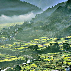 фото "Jiangling 2, Wuyuan, Jiangxi"