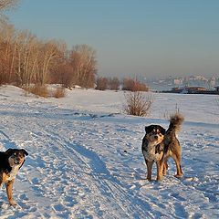 фото "Посторонним В"