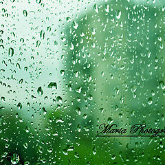 photo "Spring Rain"