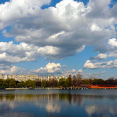 photo "Spring debut / Наступлением весны"