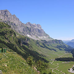 photo "Alpine bee-garden"