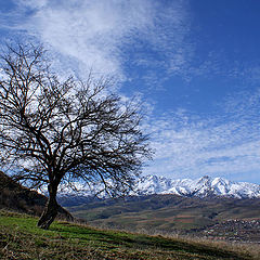 фото "Весна"