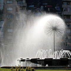 photo "Artificial rain / Искусственный дождь"