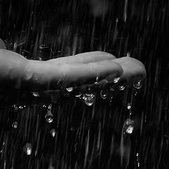 photo "rain symphony"