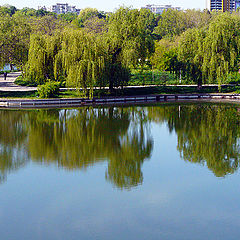 photo "Peaceful lake / Мирное озеро"