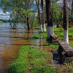 фото "половодье"