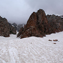 фото "Снежник Аксай"