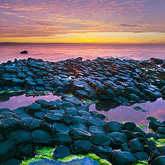 photo "Giant's Causeway"