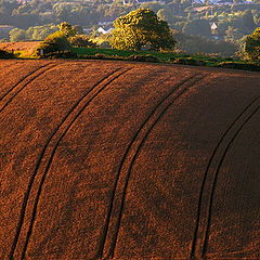 photo "Downpatrick Hills"