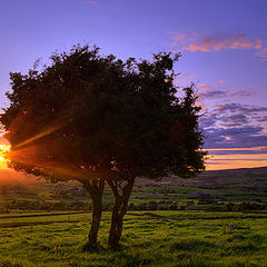 photo "Slemish Hills"