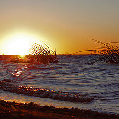 photo "Sunset in the Gulf of Finland."