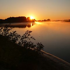 photo "Foggy Morning"