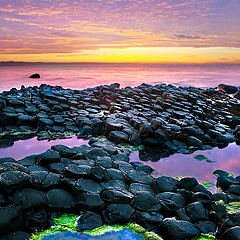 photo "Giant Causeway"