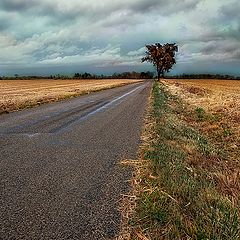 photo "Storm Brewing"