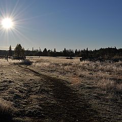 фото "Утро осеннего дня"