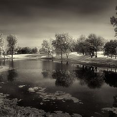 photo "Lazy Afternoon"