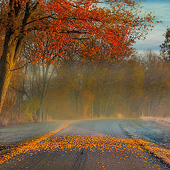 photo "Fall Morning"