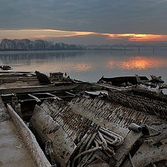 фото "Монстр"