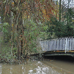 photo "Bridge in troubled water"