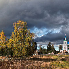 фото "Березовый звон"