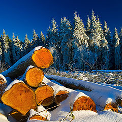 photo "Irish Wilderness"