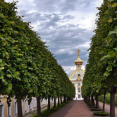 фото "Аллея"