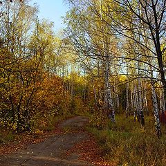 фото "Ещё осенняя..."