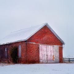 photo "Winter Chill"