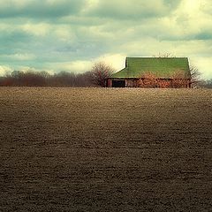 photo "Stoic Solitude"