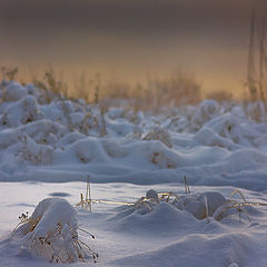 photo "Snowy silence."