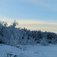 photo "Frost!"