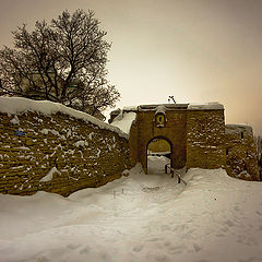 photo "In the old fortress."