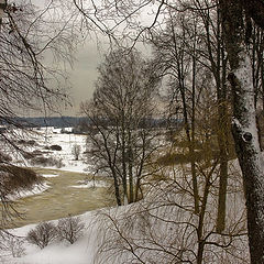 photo "Winter in Trigorskoye"