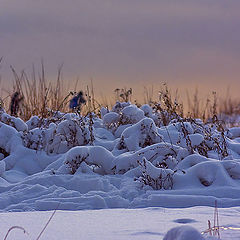 photo "Winter morning."