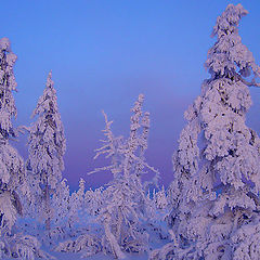 фото "Акварельная зима"