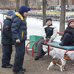 фото "Весенняя зарисовка"